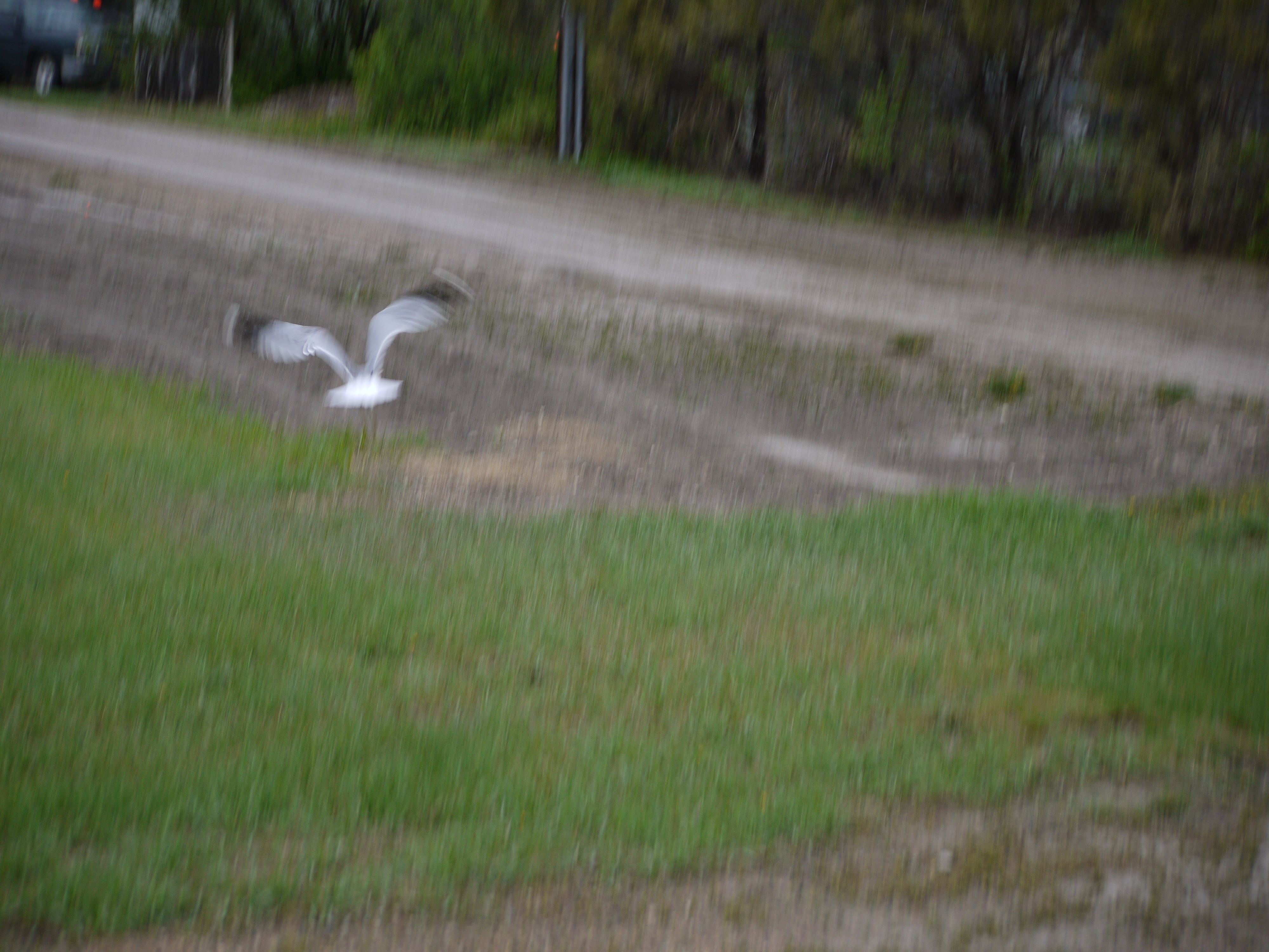 photo06