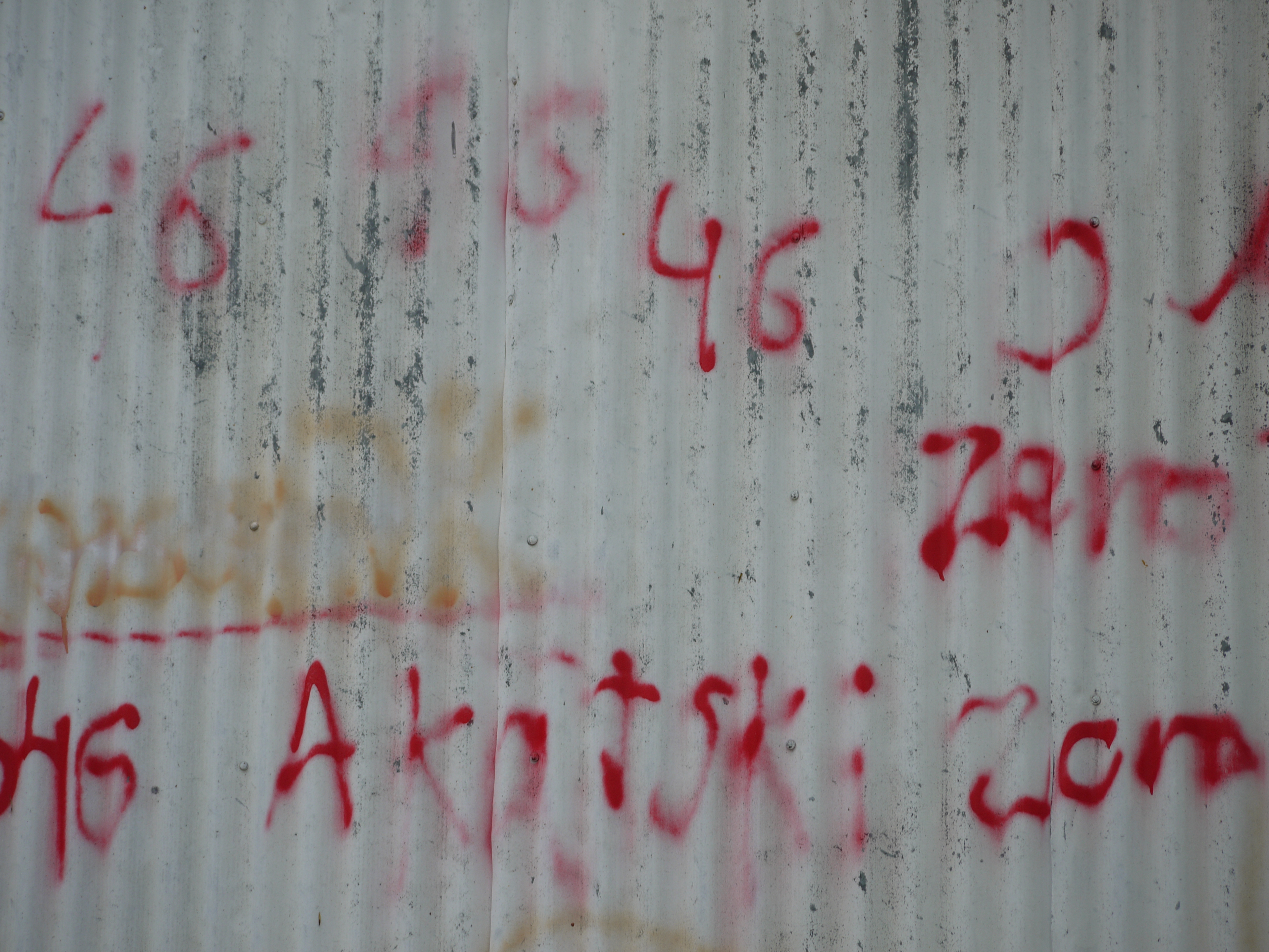 photo15